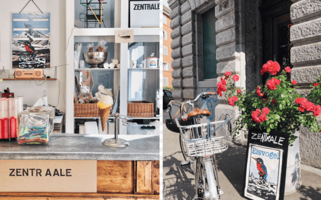 EISVOGEL ZENTRALE F&Uuml;R GUTES