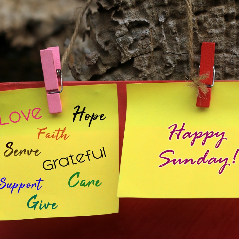 Immer wieder Sonntags