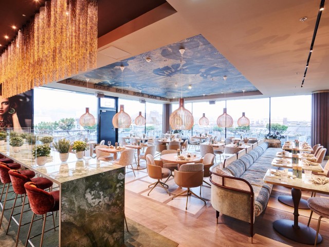 Roof Garden